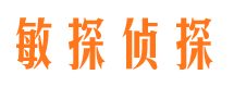 迭部侦探公司